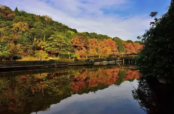 公园给排水-德阳东湖山公园